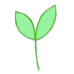 custom logoPark Slope Dermatology