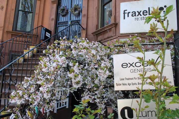 Park Slope Brooklyn brownstone office in the Springtime