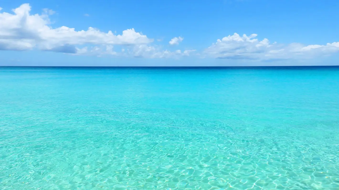 The Caribbean Sea, the representation of the oasis of our office