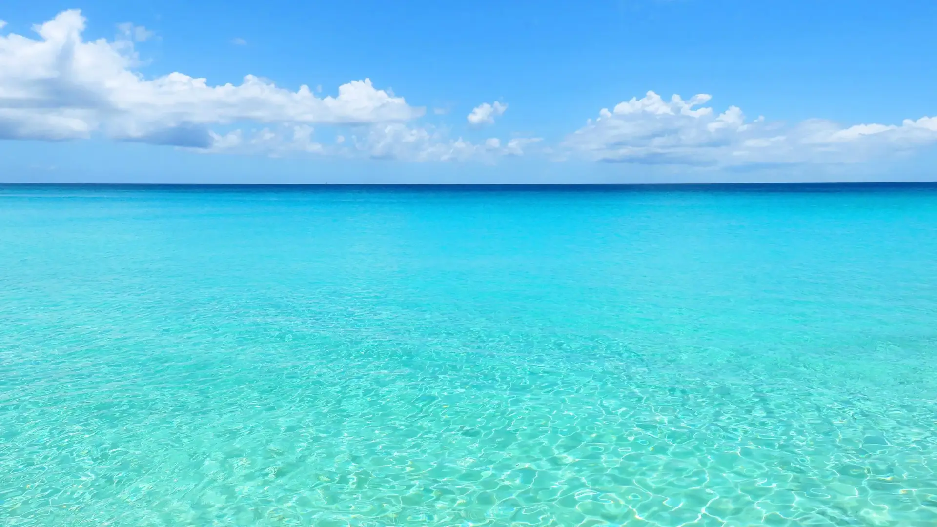 The Caribbean Sea, the representation of the oasis of our office